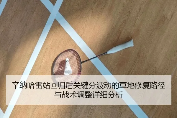 xin-na-ha-lei-zhan-hui-gui-hou-guan-jian-fen-bo-dong-de-cao-di-xiu-fu-lu-jing-yu-zhan-shu-tiao-zheng-xiang-xi-fen-xi-2-357.jpg